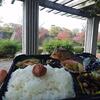 大阪城公園で焼きサバ弁当