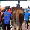 金沢競馬場（その５）