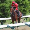 ３０日に札幌競馬場（栗田厩舎）へ帰厩。次走は１２日の札幌・芝２０００ｍを予定しています。☆マンスール