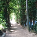 北関東の♀、航空会社の上級会員を目指す