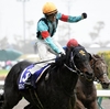 競馬初心者必見☆馬券予想🔥〜高松宮記念〜今年も穴馬が台頭する！！