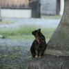 あけましておめでとうございます