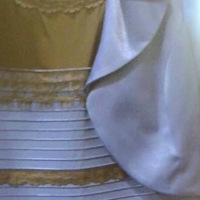 ドレスの色の真相 青と黒 Vs 白と金 はっちばっちのblog