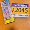 無念のDNS・・・燕さくらマラソン