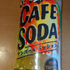 クラフトボス カフェソーダ マンゴー＆パッション 購入について