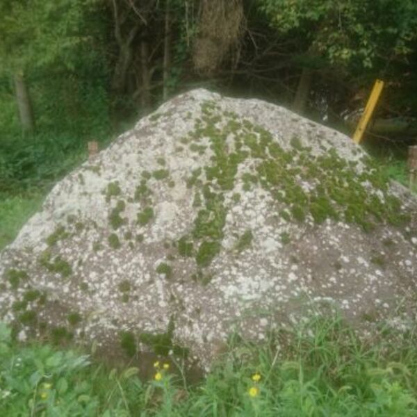 読書 はてなブログ グループ