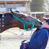 高校生らが自ら調教し、競馬デビューへ！◆秋の１歳馬最後のセリ『オータムセール』で他に買い手がない馬をクラウドファンディング「Readyfor」を通じ挑戦へ／株式会社　馬事学院（バジガク）