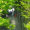 2024年4月25日（木）　導かれたように乗り過ごす？