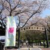 四年ぶりに巾着田の春まつり