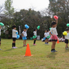 11月3日（日）　親子まつり