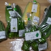 🍀よさの野菜の駅　京都府与謝野町　野菜販売　土産物　惣菜販売