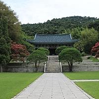 コウヤマキとは 動植物の人気 最新記事を集めました はてな コウヤマキとは 動植物の人気 最新記事を集めました はてな