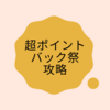 ２０２１年１月　超ポイントバック祭　徹底攻略