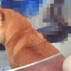 ゆっくりじっくり、だよ
