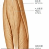 膝痛改善の運動