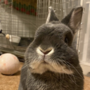 元COBOLerな俺