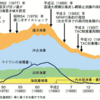 凋落日本の水産業、伸びたイから学ぶか