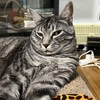 気づいたら３連休だった