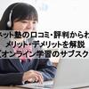 e点ネット塾の口コミ・評判からわかるメリット・デメリットを解説【オンライン学習のサブスク】