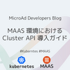 MAAS 環境における Cluster API 導入ガイド
