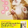 肉球フェチホイホイ＼(^o^)／にゃんこの" 裏側 "を集めた写真集が最高すぎ❗️