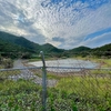 門原ため池（沖縄県伊平屋島）