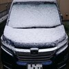 桜の季節に降る雪