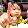 11月15日の動画