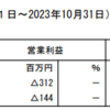 グローバルスタイル 23/12/29