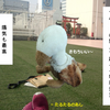 あたりまえがありがたい（２）