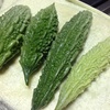徐々に秋らしく