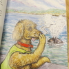 Stinky Whale Breath and Surprise Breaching