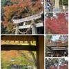 🍁紅葉狩り🍁佐賀編