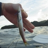 カヤックで釣り