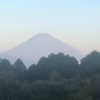 今朝の景色