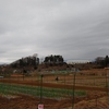 秦野　転　天　最高気温13度☁曇りのち雨☂