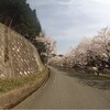 篠山～市島～京丹波 お花見ツーリング