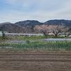 日立海浜公園散策