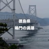 世界三大渦潮の一つ「鳴門の渦潮」を見に鳴門公園に行ってみたら、帰りの列車は要注意だった！
