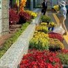 ★大阪駅前の花壇