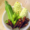 夏なので夏らしく夏野菜