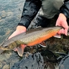 釣り堀か真の秘境か