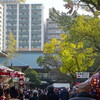 2019/1/9　ことしも朝戎