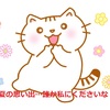 お題【＃夏に見たい映画・ドラマ・アニメ・バラエティ】について