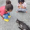 隣の子とクロちゃん♪　/ᐠ｡ꞈ｡ᐟ\