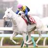 競馬初心者必見☆馬券予想🔥〜札幌記念〜北の大地でG1級の戦い！