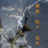 神楽　咲ク　夏至