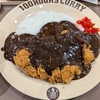 タダでチキンカツ！？１００時間カレーでお得にカレー