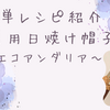 【無料編み図】夏にピッタリ！簡単にできるリボン付きエコアンダリアの日焼け帽子の編み方！