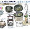 2013年3月緑水庵定例茶会